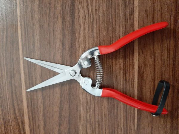 قیچی میوه چینی رونیکس مدل RH-3150