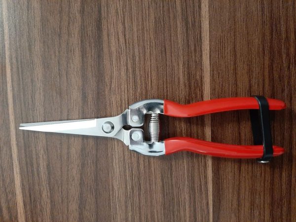قیچی میوه چینی رونیکس مدل RH-3150
